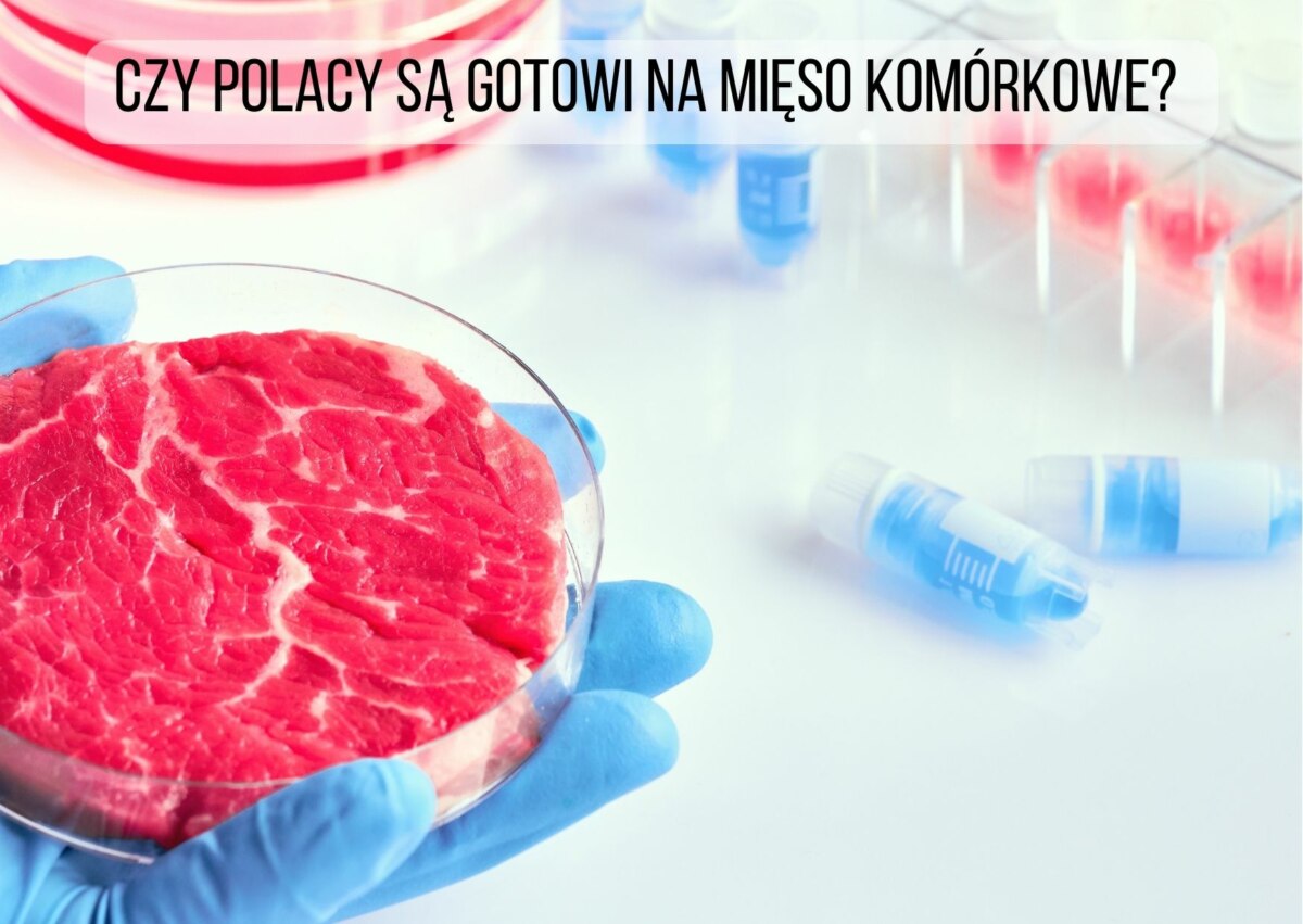 Czy Polska Ma Szansę Stać Się Europejskim Hubem W Kategorii Mięsa Przyszłości?